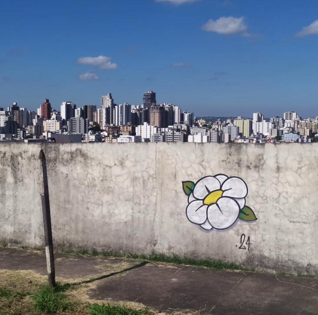 Jovem Ronx: transformando o concreto em jardim 